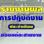 ผลการปฏิบัติงานของแต่ละสายงาน เดือน มี.ค.2568